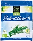 BIO Kräuter von Sup’herb im aktuellen Netto mit dem Scottie Prospekt