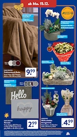 Home Creation Angebot im ALDI SÜD Prospekt, gültig von 15.12.2025 bis 20.12.2025 Home Creation Angebot im aktuellen ALDI SÜD Prospekt auf Seite 24
