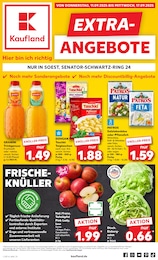 Kaufland Prospekt "EXTRA-ANGEBOTE" für Soest, 8 Seiten, 11.09.2025 - 17.09.2025