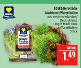 Salatrio mit Wurzelballen Angebote von EDEKA Herzstücke bei Marktkauf Leipzig für 1,49 €