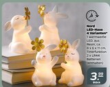 LED-Hase Angebote von Nord bei Netto mit dem Scottie Cottbus für 3,99 €