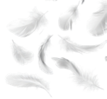 Aktuelles Taschentücher Angebot bei Kaufland in Münster ab 0,85 €