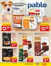 Aktueller Netto Marken-Discount Prospekt mit Hundefutter, "Aktuelle Angebote", Seite 37