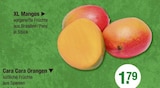 XL Mangos Angebote bei V-Markt Regensburg für 1,79 €