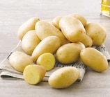 Pomme de terre de consommation - Hyper U à Reims Pomme de terre de consommation en promo chez Hyper U Reims à 2,59 €