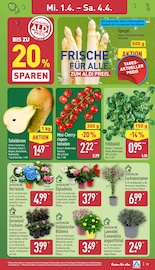 Balkonpflanzen im ALDI Nord Prospekt in Lüneburg Aktueller ALDI Nord Prospekt mit Balkonpflanzen, "Aktuelle Angebote", Seite 30