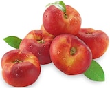 Plattnektarinen Angebote bei REWE Unna für 1,99 €