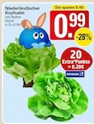 Niederländischer Kopfsalat bei WEZ im Bad Nenndorf Prospekt für 0,99 €