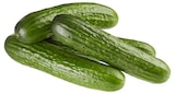 Mini Gurken im Angebot bei REWE in Nürnberg Mini Gurken Angebote von REWE Regional bei REWE Nürnberg für 4,99 €