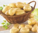 U Express Neuilly-sur-Seine - Promo Pomme de terre de consommation lavée Promo Pomme de terre de consommation lavée à 1,99 € dans le catalogue U Express à Neuilly-sur-Seine