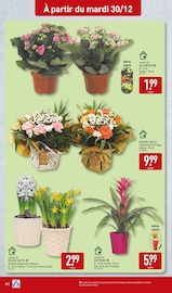 Bricolage Angebote im Prospekt "PROLONGEZ LES FÊTES AVEC ALDI !" von Aldi auf Seite 34