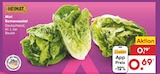 Netto Marken-Discount - Mini Romanasalat Angebot im Prospekt Mini Romanasalat bei Netto Marken-Discount im Prospekt "" für 0,69 €