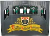 Pilsener von Stier-Bier im aktuellen Netto mit dem Scottie Prospekt