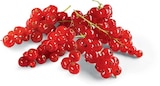 Johannisbeeren für 1,99 € bei Netto Marken-Discount im Angebot Johannisbeeren im aktuellen Netto Marken-Discount Prospekt
