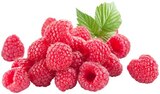 REWE Grebenstein - Himbeeren Angebot im Prospekt Himbeeren bei REWE im Grebenstein Prospekt für 3,79 €