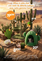 Promos Cactus dans le catalogue "FRESH SUMMER" de B&M Cactus en promo dans le catalogue B&M à la page 12