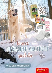 Aktueller Zookauf Prospekt mit Tomaten, "UNSERE TIERISCHEN ANGEBOTE SIND DA!", Seite 1