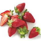 Promo FRAISE GARIGUETTE à 3,29 € dans le catalogue Supermarchés Match à Bouvignies