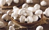 Weiße Champignons für 1,59 € bei REWE im Angebot Weiße Champignons im aktuellen REWE Prospekt