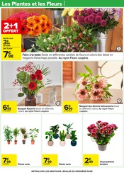 Chrysanthèmes Angebote im Prospekt "VENEZ GOÛTER AU MEILLEUR POUR DE BON !" von Carrefour Chrysanthèmes Angebote im Prospekt "VENEZ GOÛTER AU MEILLEUR POUR DE BON !" von Carrefour auf Seite 26