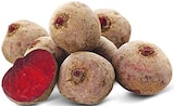 REWE Lage - Rote Bete Angebot im Prospekt Rote Bete bei REWE im Lage Prospekt für 0,99 €