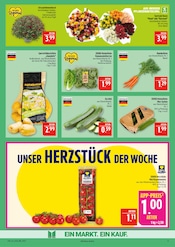 Pflanzen im Marktkauf Prospekt in Bautzen Aktueller Marktkauf Prospekt mit Pflanzen, "AUSWAHL RIESIG, PREISE NIEDRIG", Seite 9