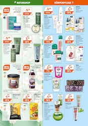 Pflanzen im Müller Prospekt in Dreieich Aktueller Müller Prospekt mit Pflanzen, "Aktuelle Angebote", Seite 20