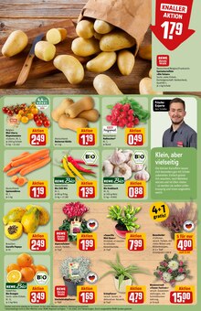 Blumen im aktuellen REWE Prospekt (Heidelberg) Blumen im REWE Prospekt "Dein Markt" mit 30 Seiten (Heidelberg)