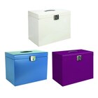 Classeur de rangement métal Pierre Henry - PIERRE HENRY - Carrefour à Aulnay-sous-Bois Classeur de rangement métal Pierre Henry - PIERRE HENRY en promo chez Carrefour Aulnay-sous-Bois à 8,05 €