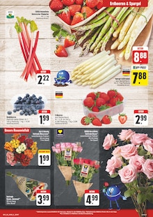 Rhabarber im EDEKA Prospekt "Wir lieben Lebensmittel!" mit 28 Seiten (Dresden)