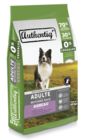 Gamm vert Achicourt - Promo Croquettes chien Authentiq'® Promo Croquettes chien Authentiq'® à 49,99 € dans le catalogue Gamm vert à Achicourt