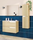 Ensemble meuble(r) sous-vasque 2 tiroirs l. 80 cm + plan vasque + miroir, décor bois, Tolima dans le catalogue Castorama