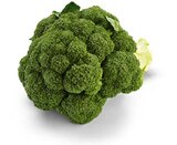 Broccoli im Netto Marken-Discount Prospekt Broccoli von HEIMAT im aktuellen Netto Marken-Discount Prospekt für 1,29 €