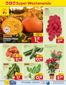 Pflanzen im aktuellen Netto Marken-Discount Prospekt (Bochum) Pflanzen im Netto Marken-Discount Prospekt "Aktuelle Angebote" mit 72 Seiten (Bochum)