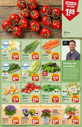 Rewe Pflanzen Angebote & Preise im Prospekt vergleichen!