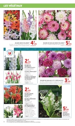 Prix et réduction Dahlias dans le prospectus Super U en cours Offre Dahlias dans le catalogue Super U du moment à la page 4