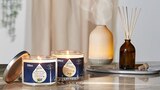 Aromatherapie Duftöl oder -kerze von glade für 5,99 € bei Penny-Markt im Angebot Aromatherapie Duftöl oder -kerze von glade im aktuellen Penny-Markt Prospekt