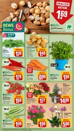 Ähnliche Angebote wie Zitronenbaum im Prospekt "Dein Markt" auf Seite 5 von REWE in Unna