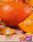 Hokkaido-Kürbis im Angebot bei Netto Marken-Discount in Hilden Hokkaido-Kürbis Angebote von HEIMAT bei Netto Marken-Discount Hilden für 0,79 €