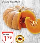 Speisekürbis Muskat im Angebot bei GLOBUS in Frechen Speisekürbis Muskat Angebote bei GLOBUS Frechen für 1,79 €