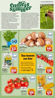 Tomaten im aktuellen REWE Prospekt (Augsburg) Tomaten im REWE Prospekt "Dein Markt" mit 32 Seiten (Augsburg)