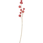 Promo Tige décorative avec 9 boules de Noël à 4,99 € dans le catalogue Jardiland à Claye-Souilly