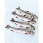 Truite rose FILIÈRE QUALITÉ CARREFOUR dans le catalogue Carrefour Market