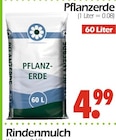 Pflanzerde Angebote bei Wreesmann Cottbus für 4,99 €