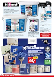 Wandfarbe im BAUHAUS Prospekt in Lörrach Aktueller BAUHAUS Prospekt mit Wandfarbe, "Wenn's gut werden muss", Seite 10