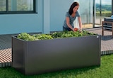 Metall-Hochbeet dunkelgrau metallic von biohort im aktuellen toom Baumarkt Prospekt
