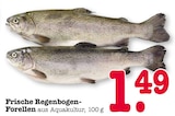 Frische Regenbogen-Forellen Angebote bei E center Ettlingen für 1,49 €