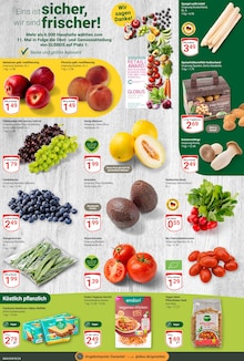 Gemüse im GLOBUS Prospekt "Aktuelle Angebote" mit 24 Seiten (Mannheim)
