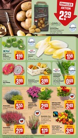 Blumen im REWE Prospekt in Amberg Aktueller REWE Prospekt mit Blumen, "Dein Markt", Seite 13