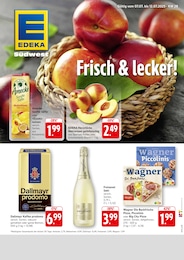 Supermarkt Prospekt von EDEKA Ilvesheim EDEKA Prospekt: "Aktuelle Angebote", 12 Seiten, 07.07.2025 - 12.07.2025